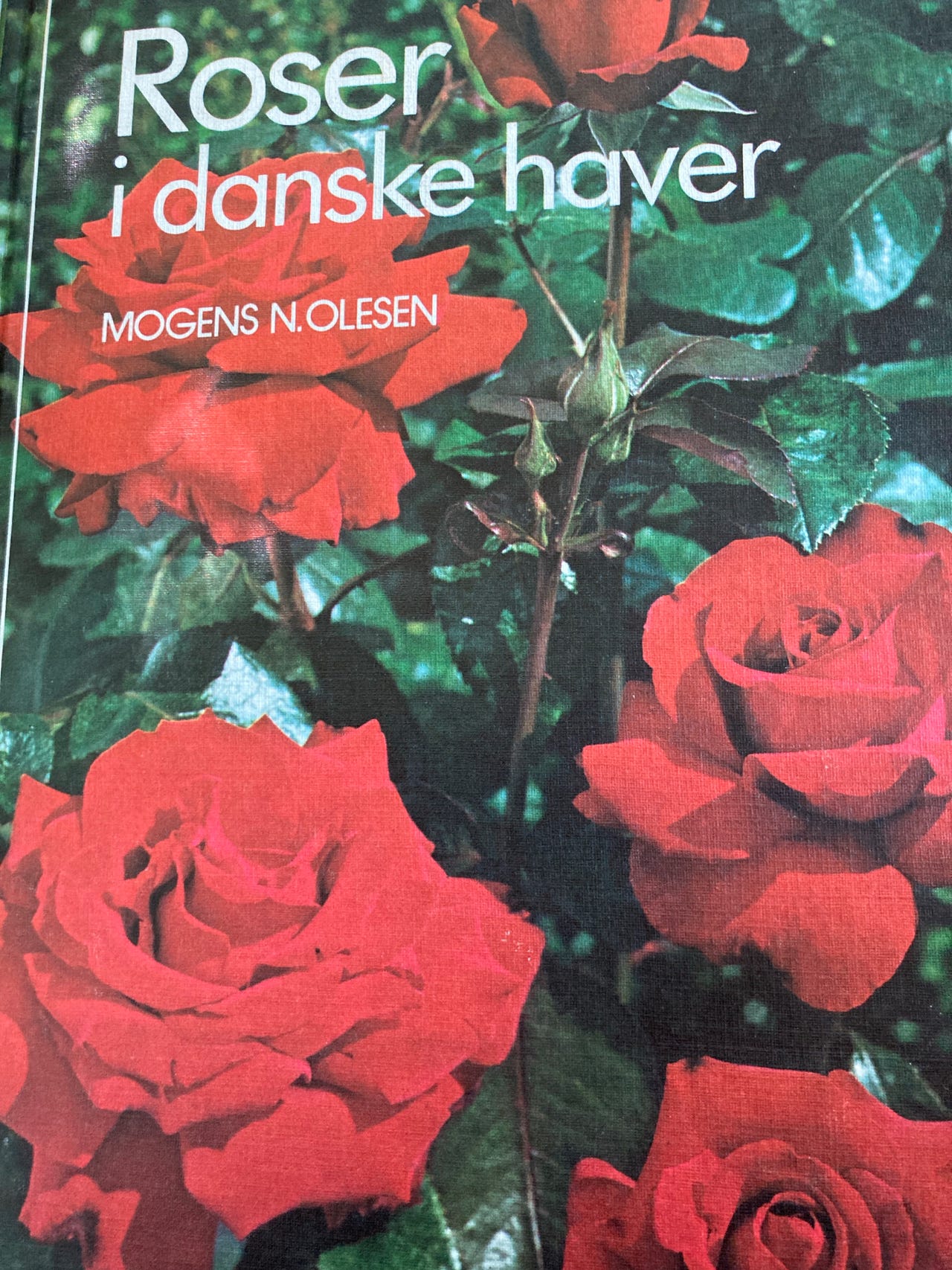 Roser i Danske haver | DBA