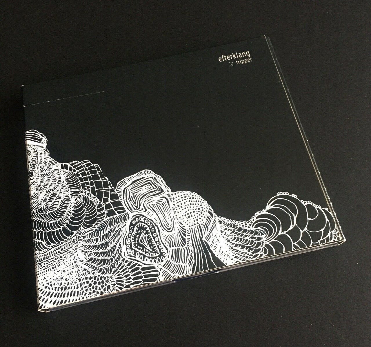 Efterklang: Tripper, electronic | DBA