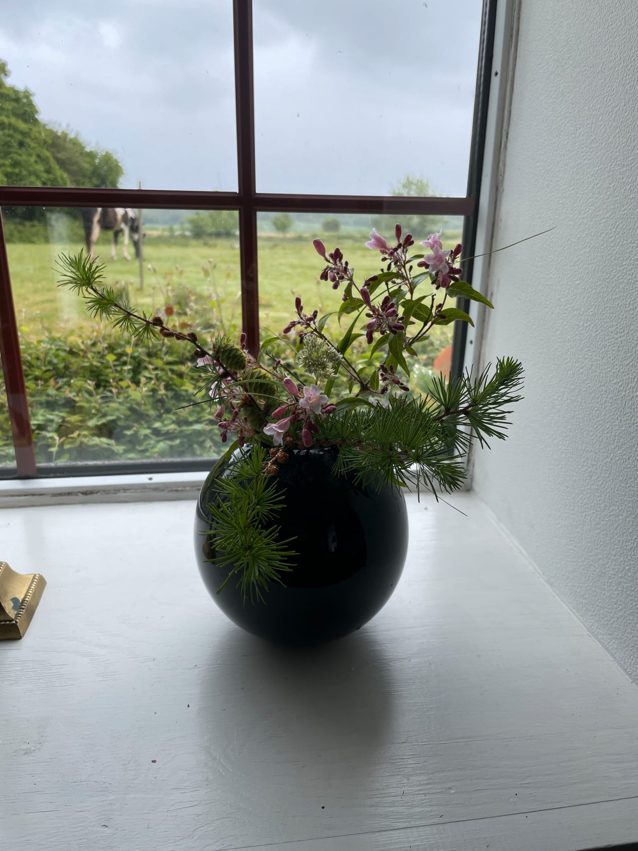 シペラス サイプレス アビー 2個セット シペラス サイプレス アビー 2個セット 【楽天市場】シペラス（花