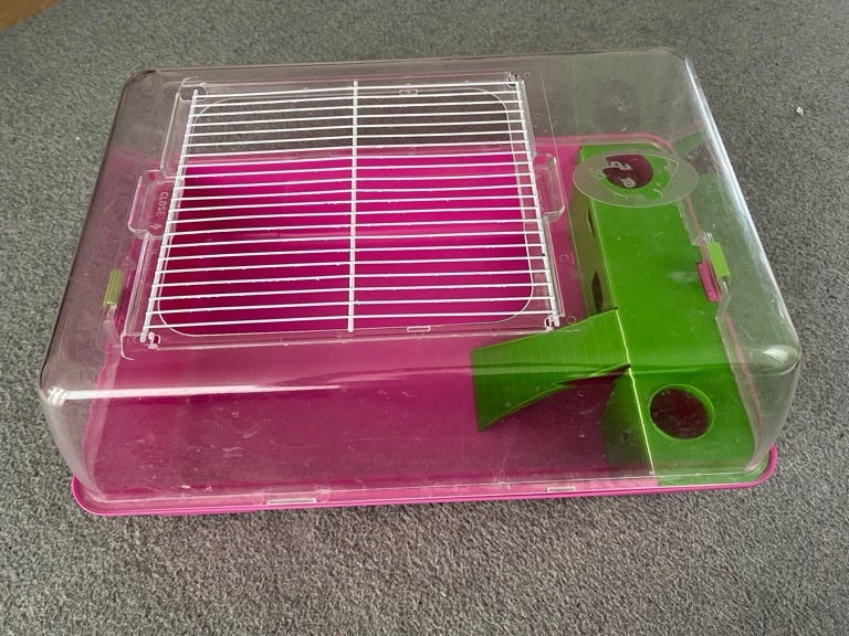 Picture of Hamster bur 55x39x26 | DBA