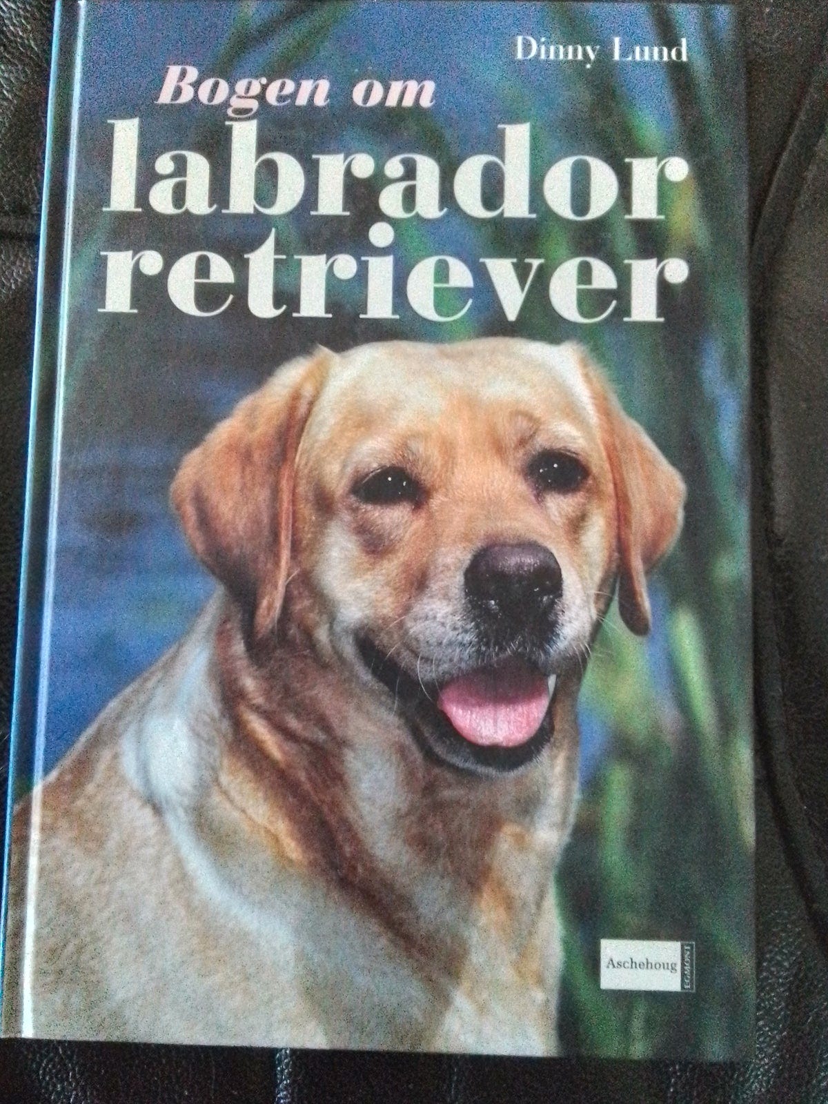 Bogen om labrador retriever af Dinny Lund | DBA