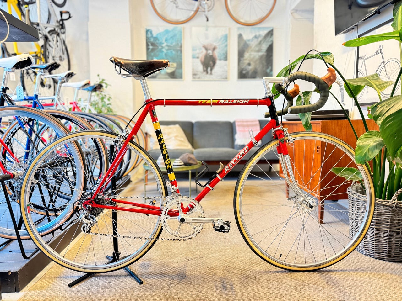 Vintage Raleigh Road Bike Team Raleigh Record Bicycle Team Raleigh