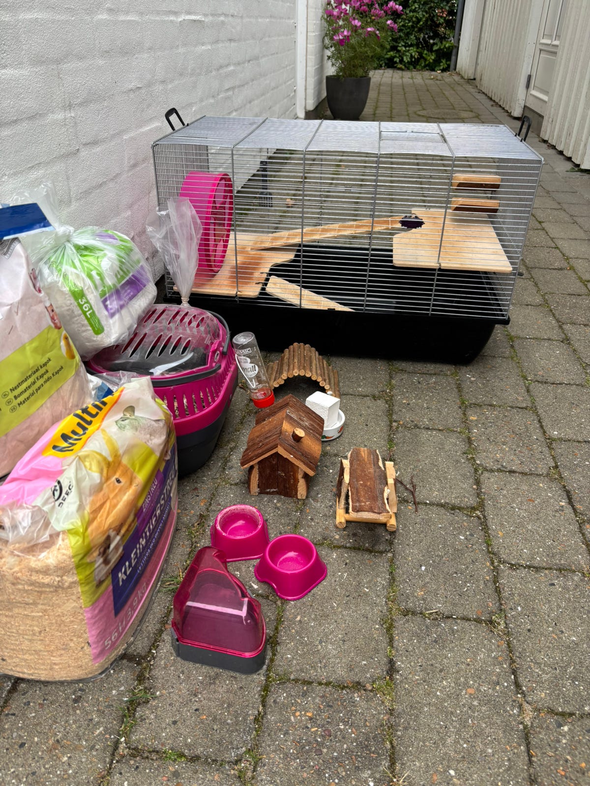 View of Dværg hamster bur. | DBA