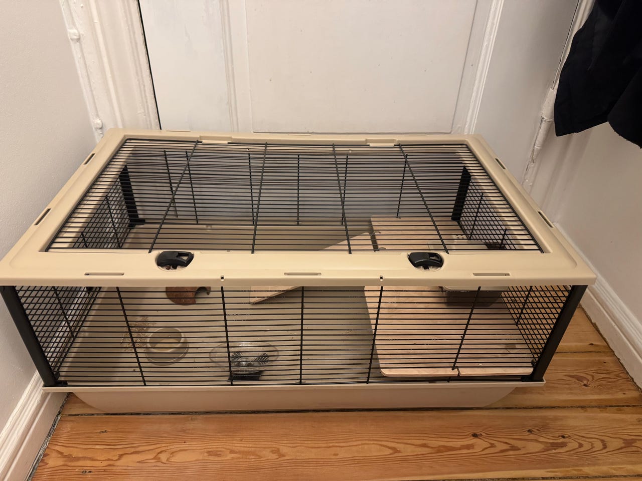 Picture of Hamster bur | DBA