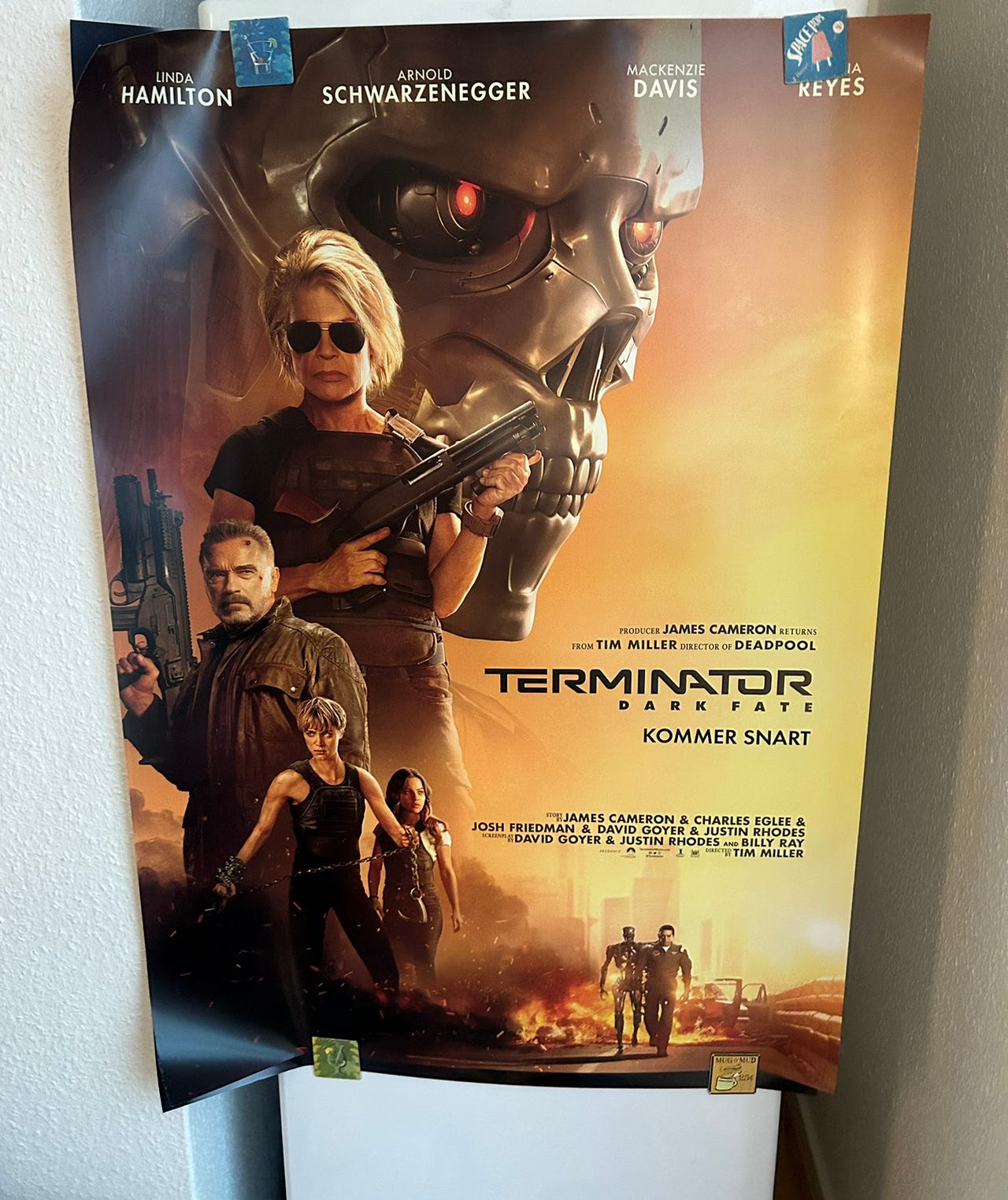 Filmplakat Terminator Dake Fate | DBA