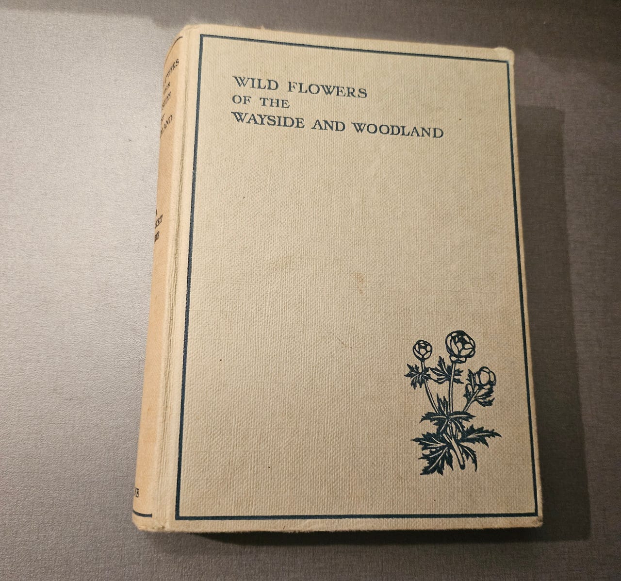 Wild Flowers of the Wayside and Woodland | DBA