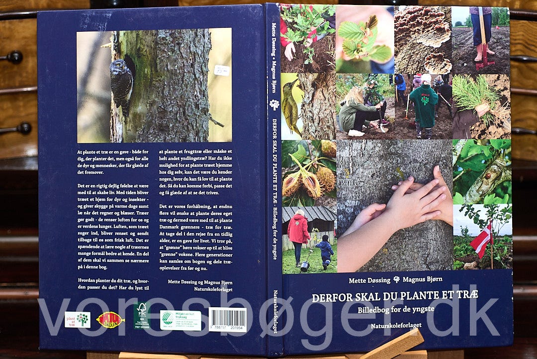 olivenbaum kaufen online Olivenbaum / Olea europaea online kaufen
