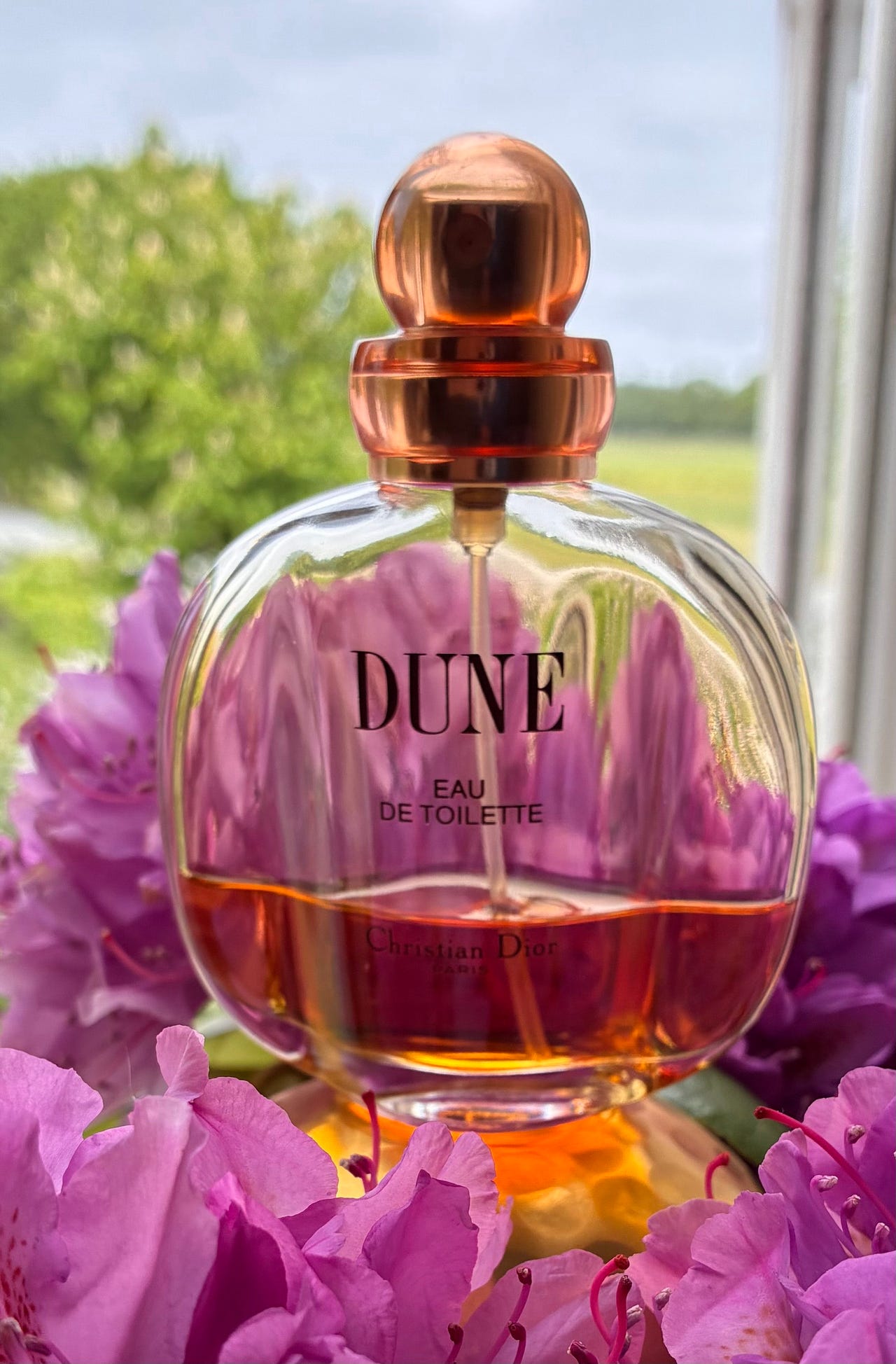 Christian Dior Dune eau de toilette 50 ml | DBA