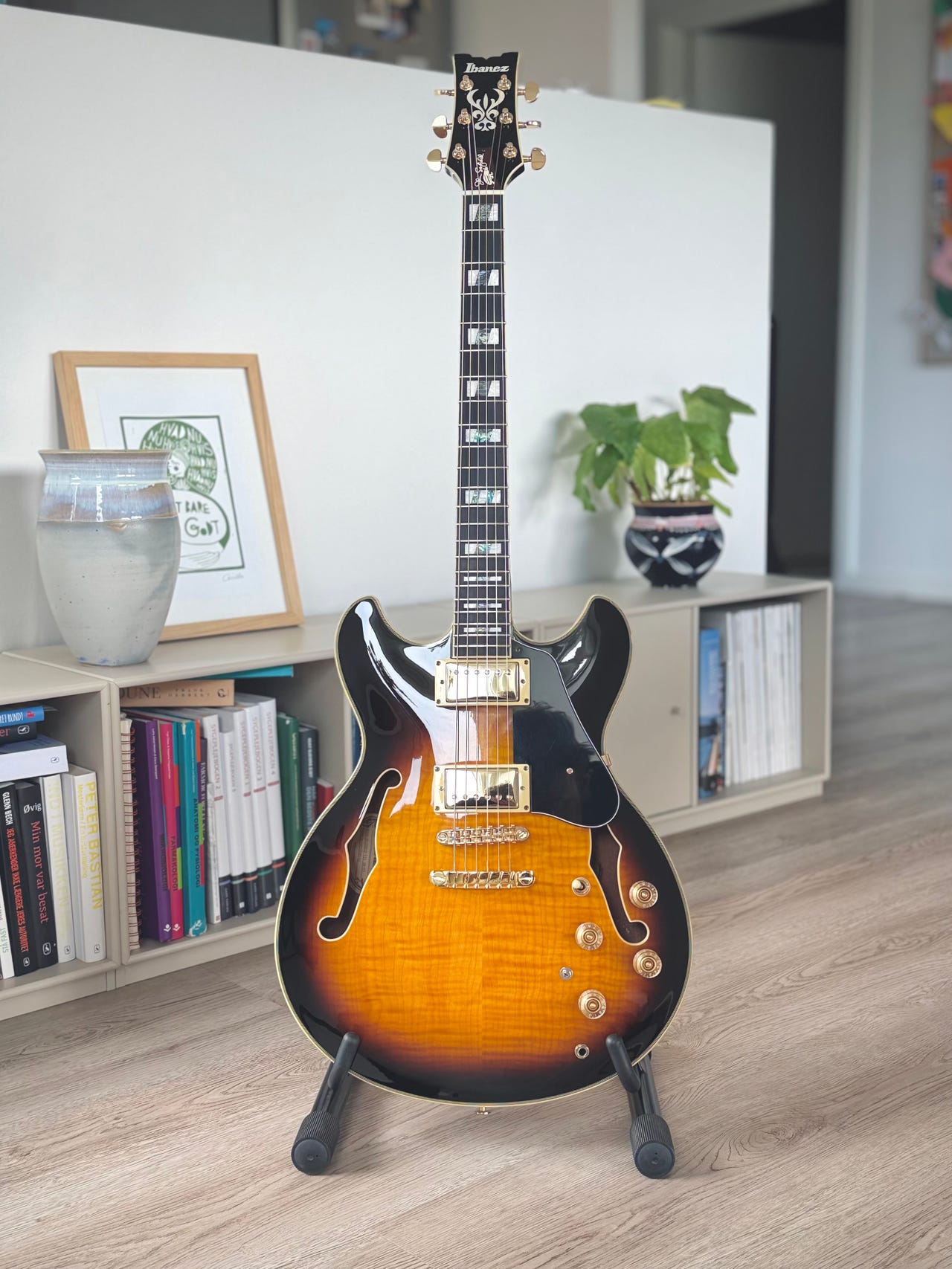 Ibanez JSM10 - VYS – John Scofield Signature Model - (2026) | DBA