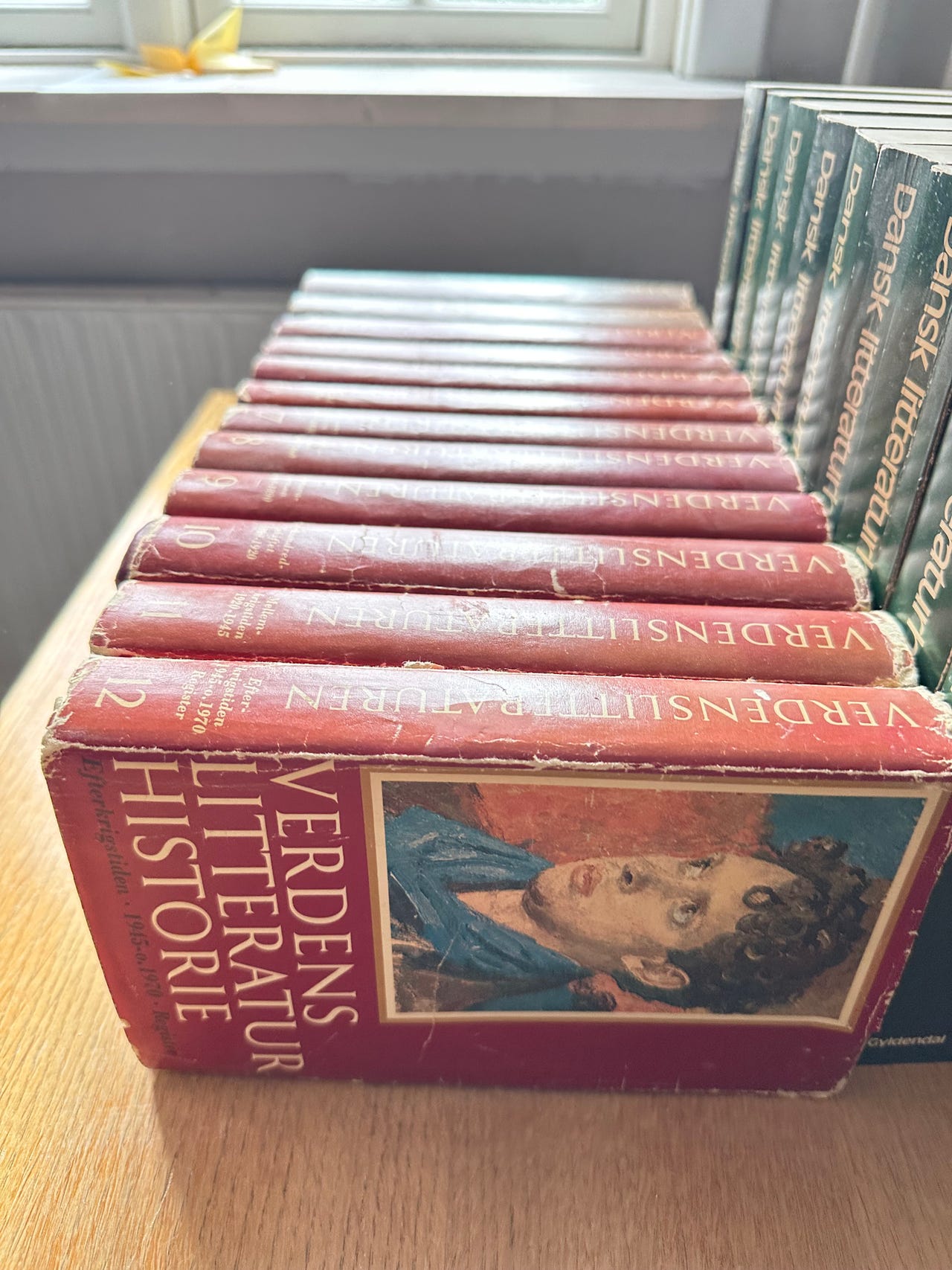Verdenslitteraturen - komplet serie på 12 bind | DBA