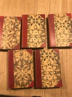 Miniaturebillede