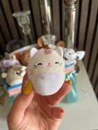 Miniaturebillede