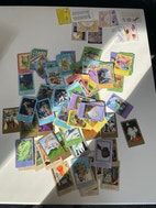 Miniaturebillede