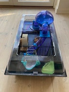 Miniaturebillede