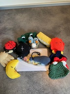 Miniaturebillede