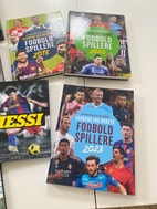 Miniaturebillede