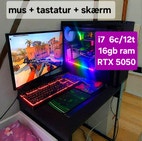 Miniaturebillede