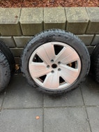 Miniaturebillede