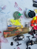 Miniaturebillede
