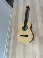 Miniaturebillede
