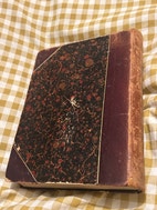 Miniaturebillede