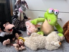 Miniaturebillede