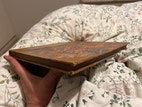 Miniaturebillede