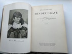 Miniaturebillede