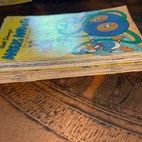 Miniaturebillede