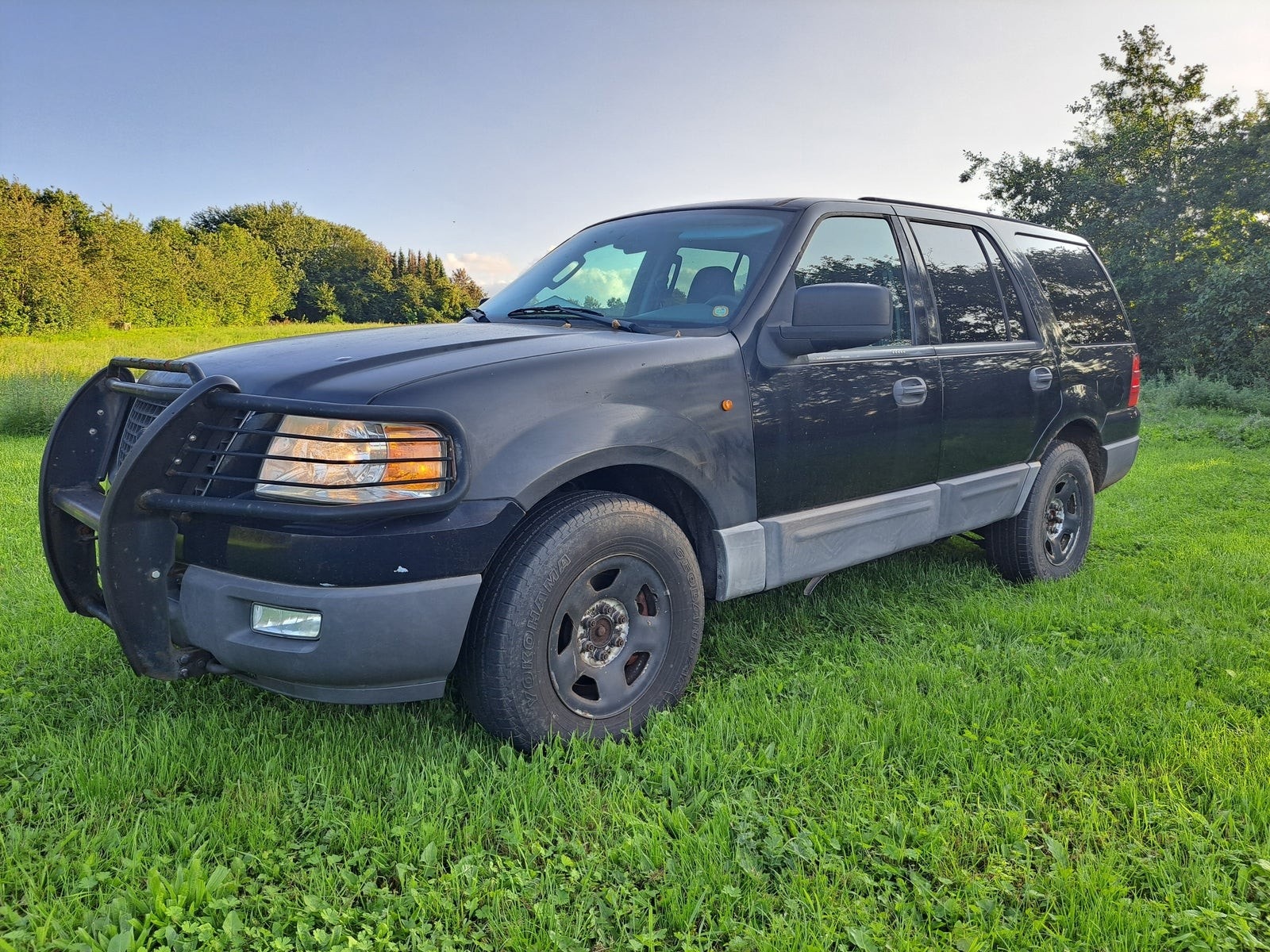 Ford Expedition – billede 2