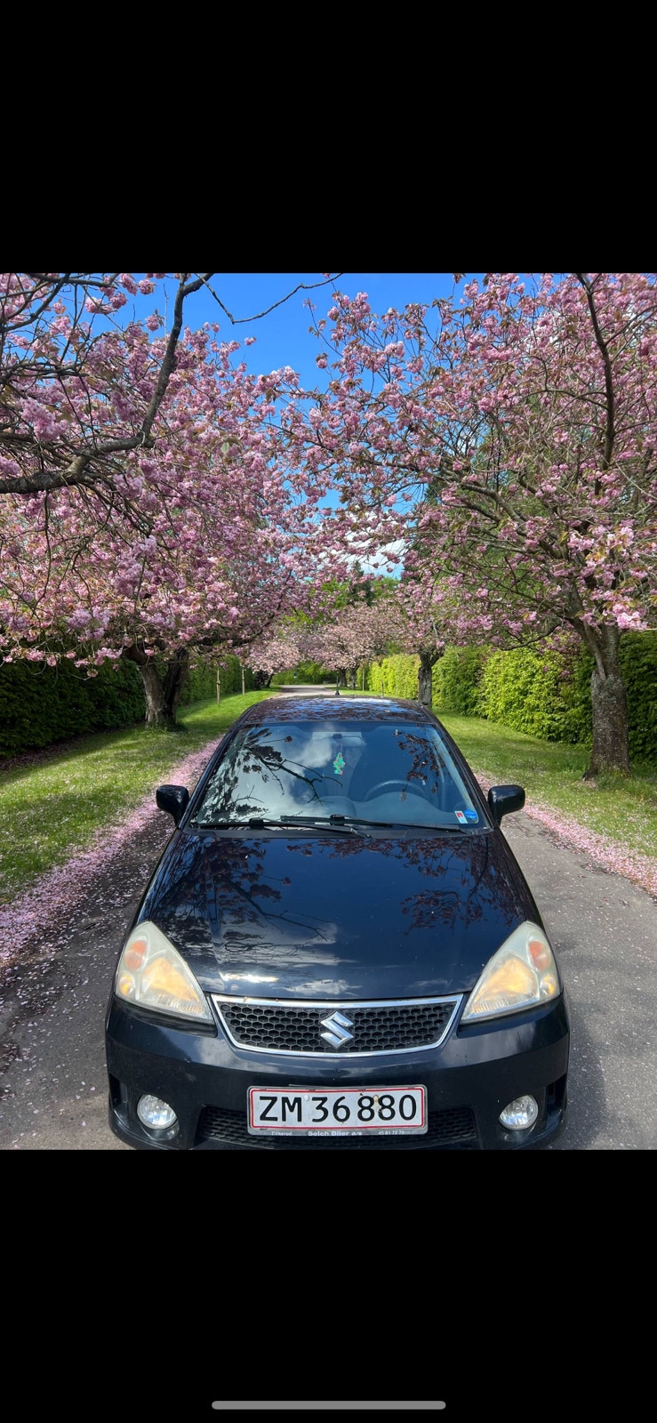 Suzuki Liana til salg hos Nabilli