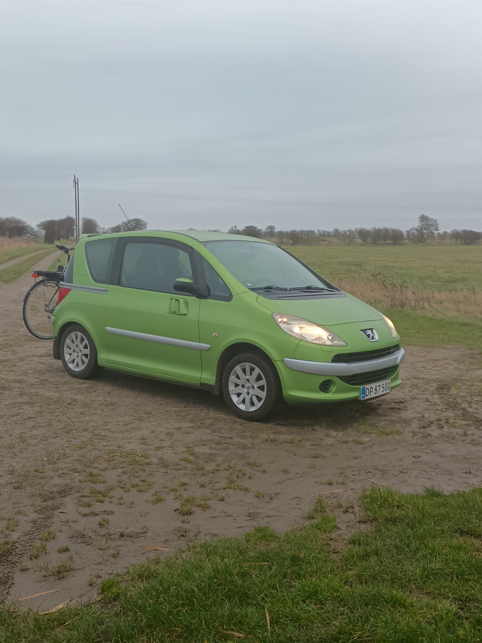 Peugeot 1007 til salg hos Nabilli