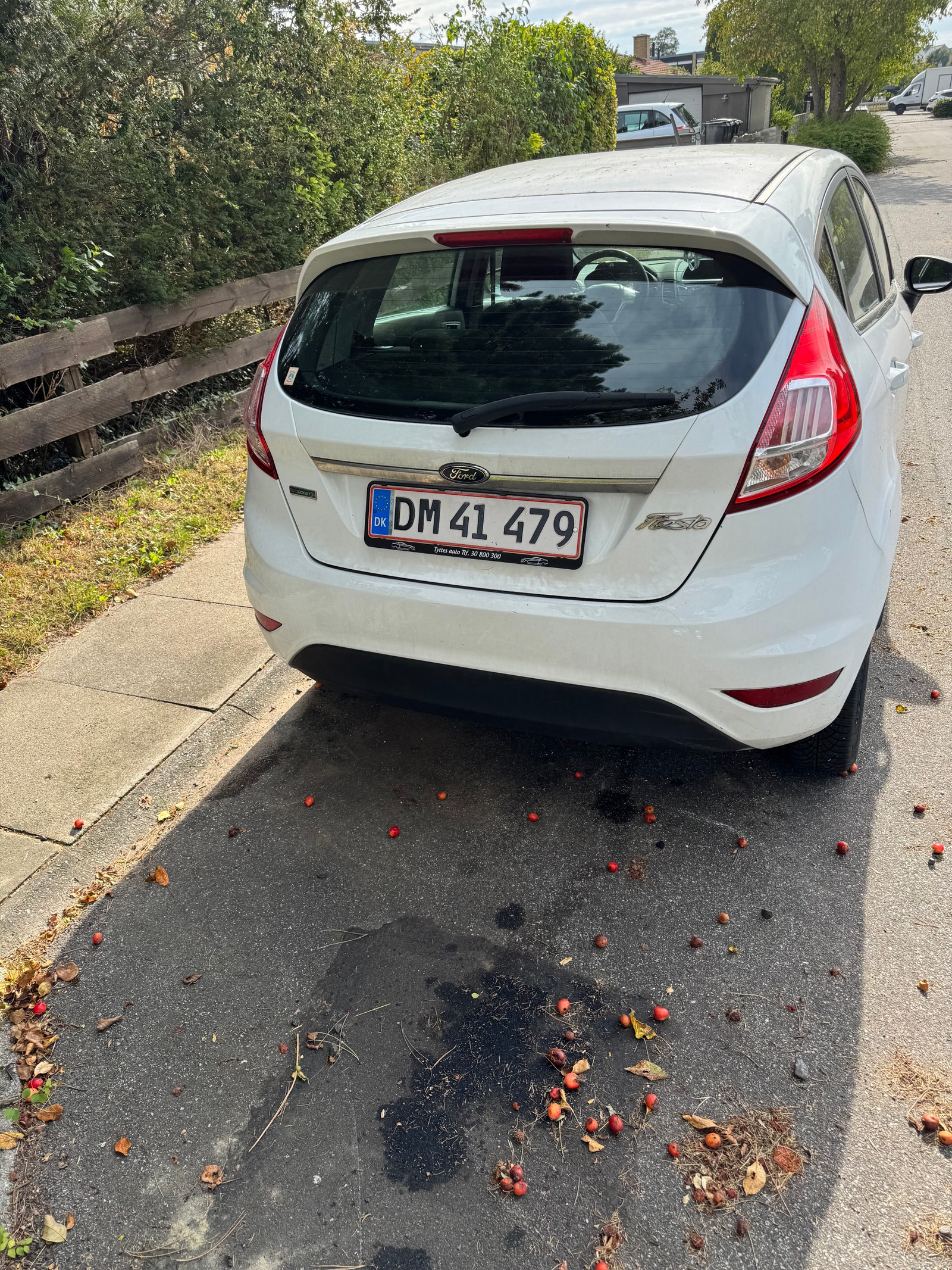 Ford Fiesta – billede 6