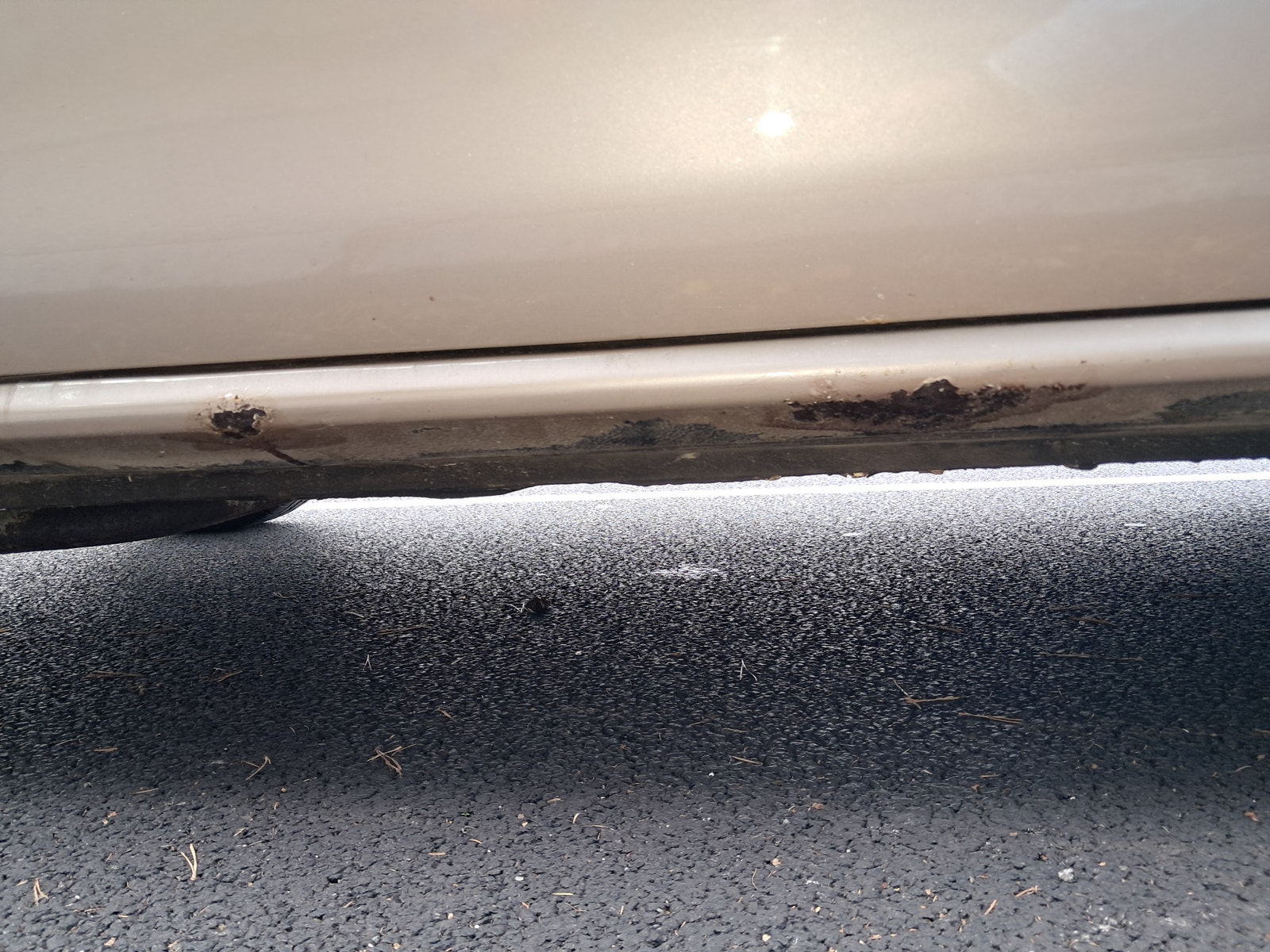Honda Civic – billede 14