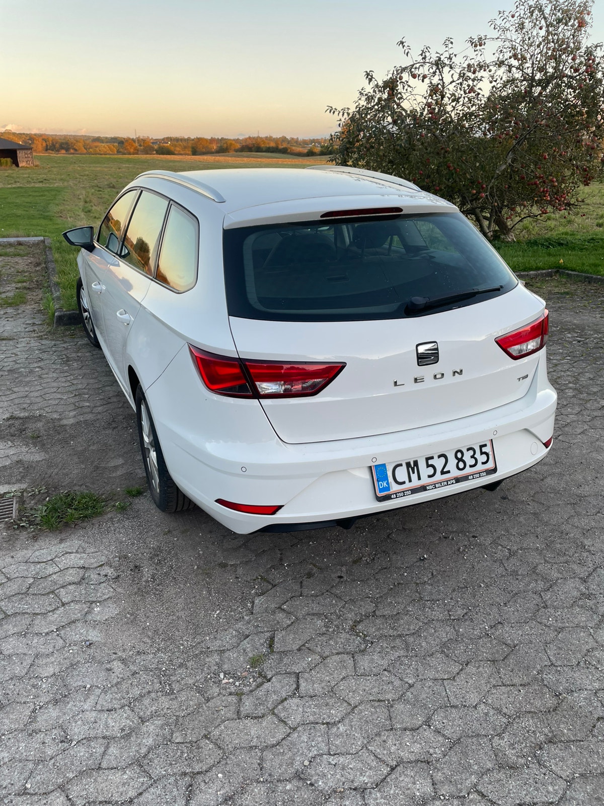 Seat Leon – billede 3