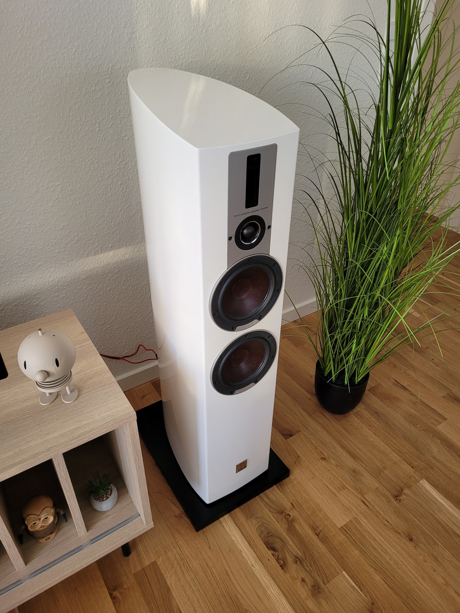 Dali Epicon 6 - Nad m33 | DBA