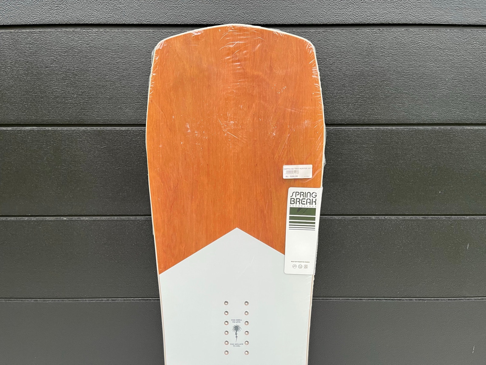 Capita Spring Break Snowboard Tree Hunter 161 | DBA