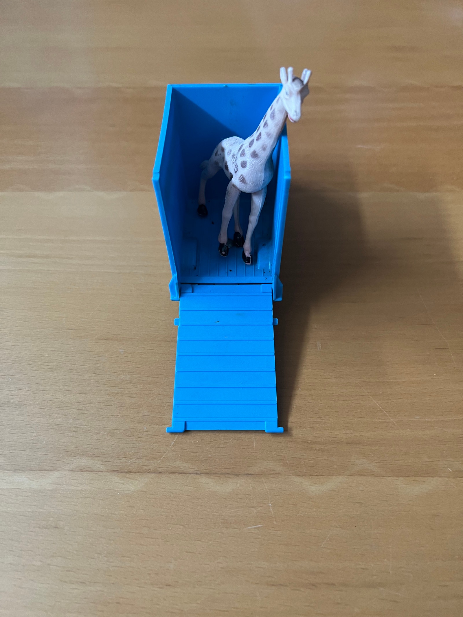 507953_6