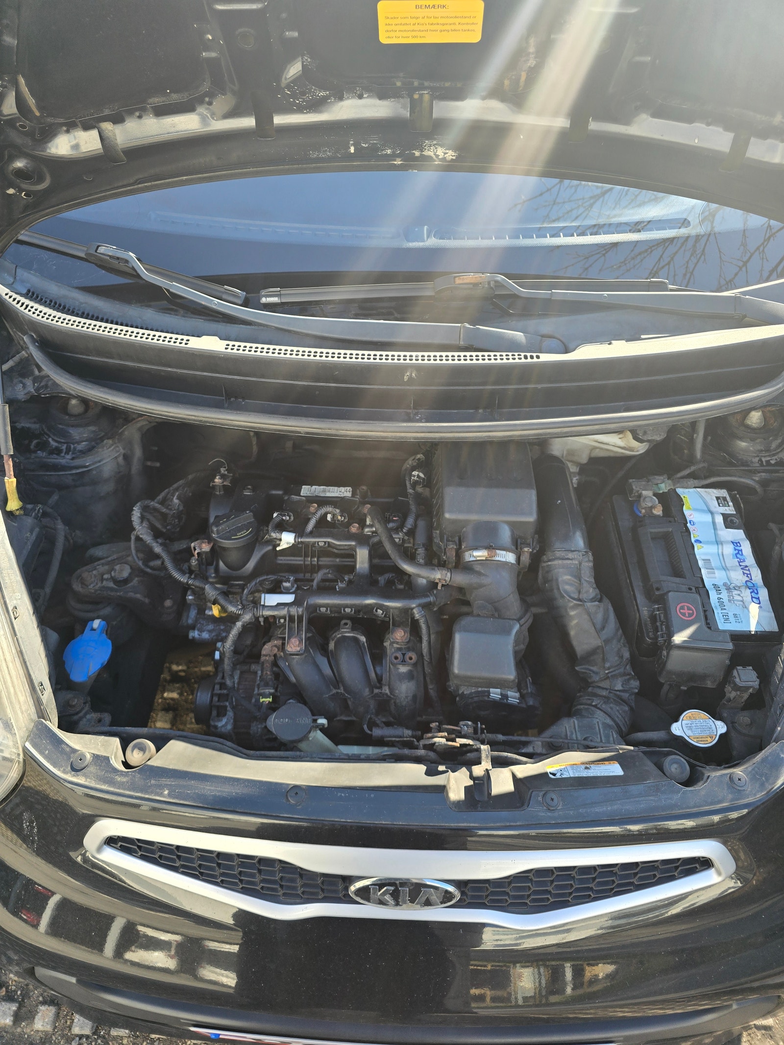 Kia Picanto – billede 11