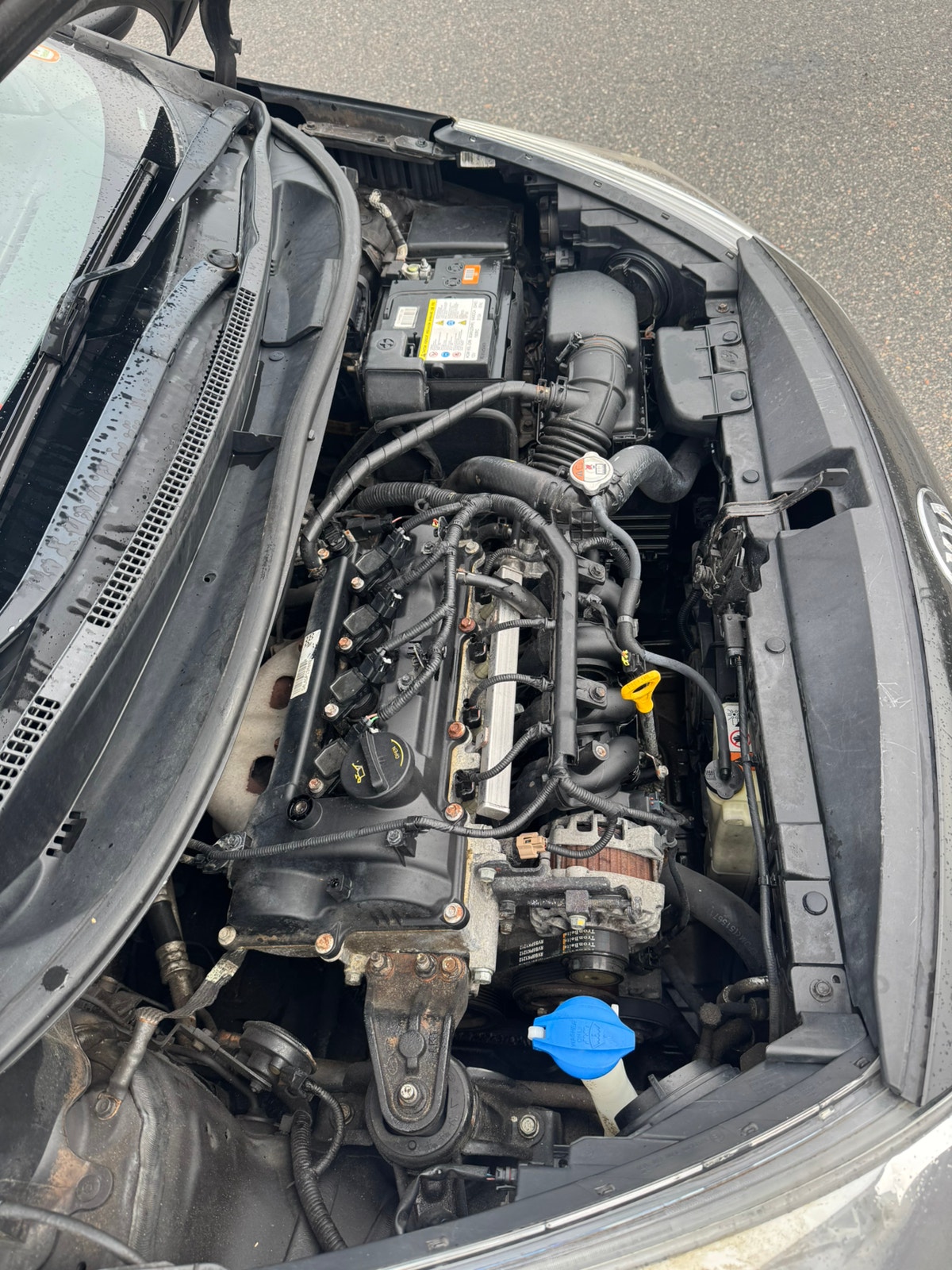 Kia Rio – billede 19
