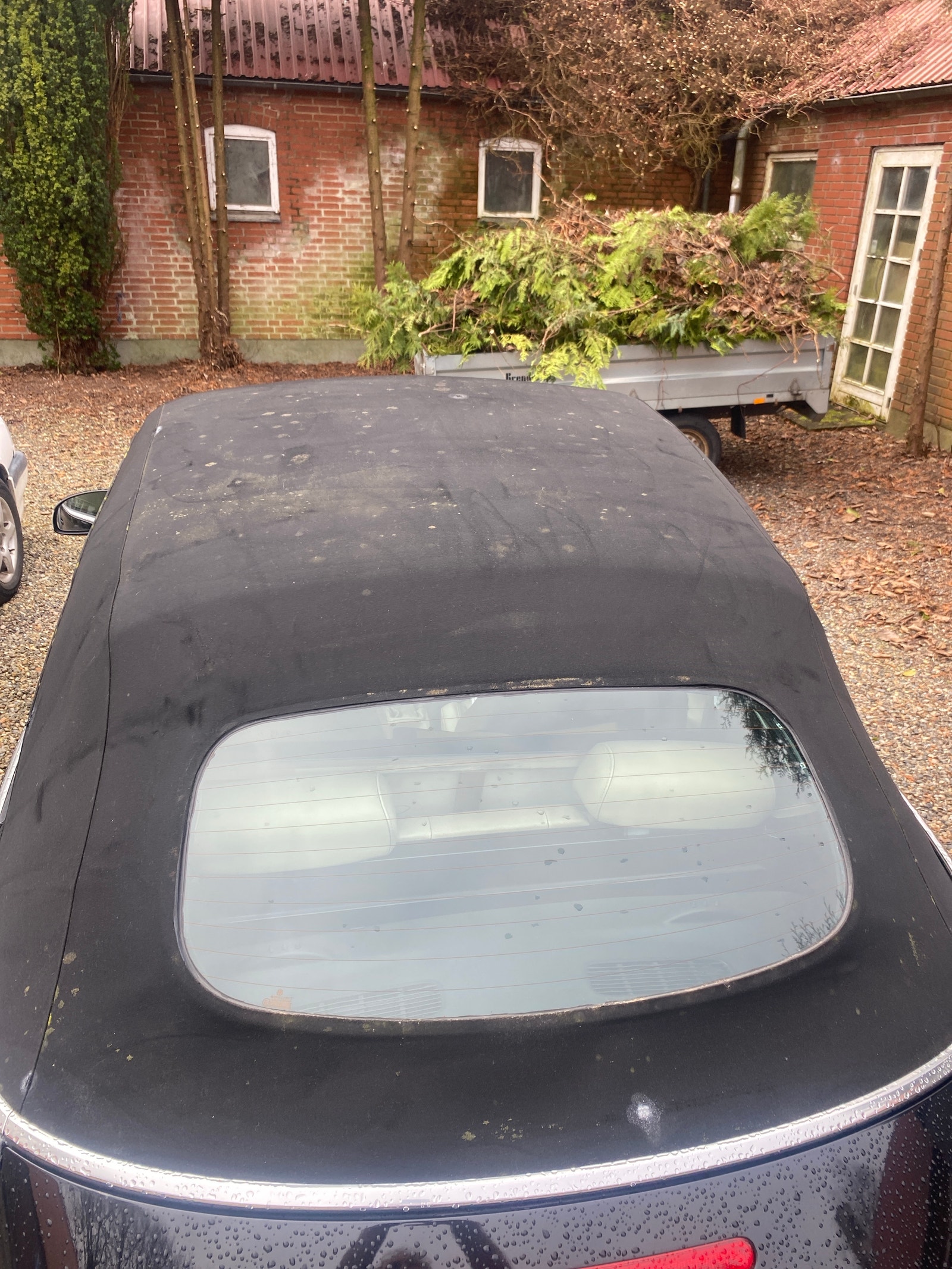 VW New Beetle – billede 3