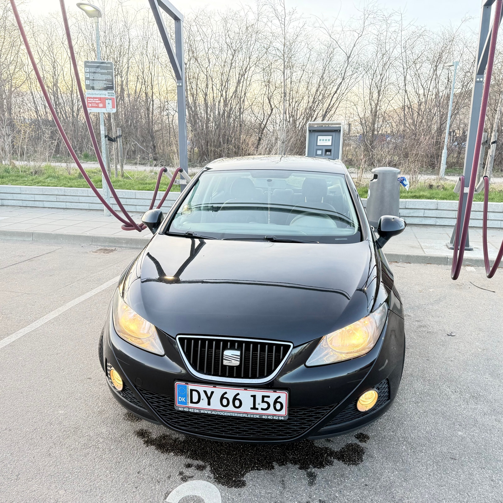 Seat Ibiza til salg hos Nabilli