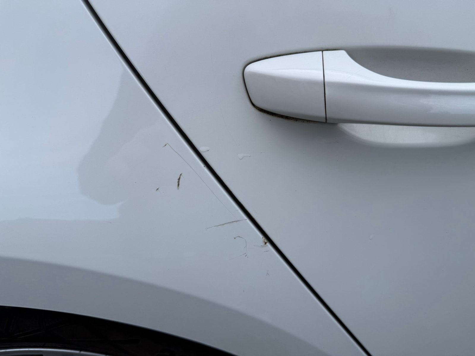 Seat Leon til salg hos Nabilli