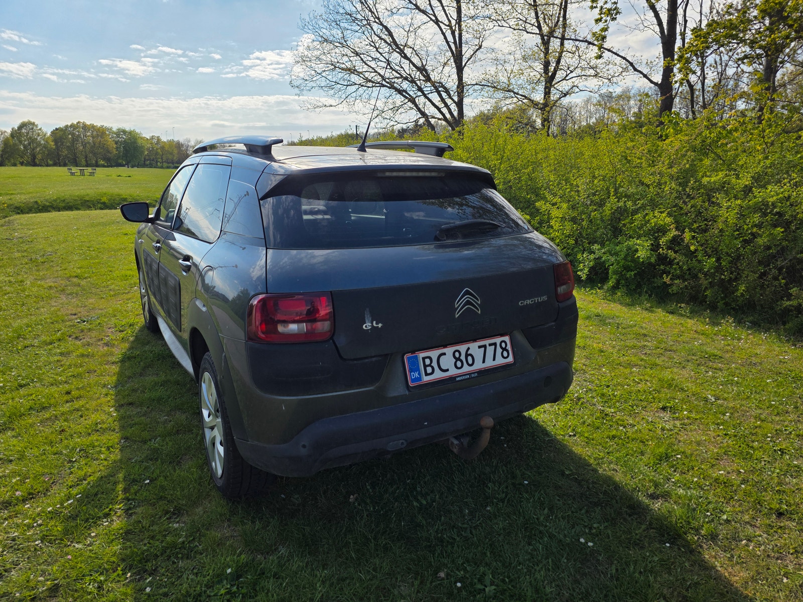 Citroen C4 Cactus – billede 5