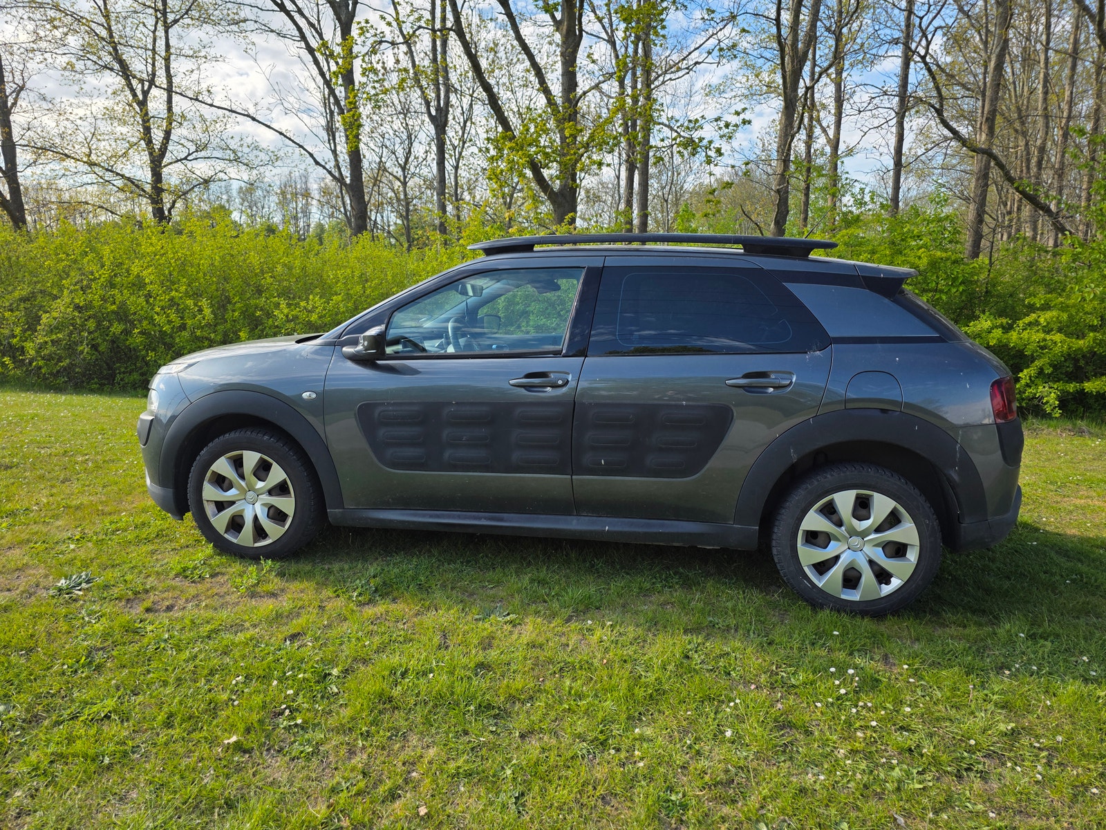 Citroen C4 Cactus – billede 6