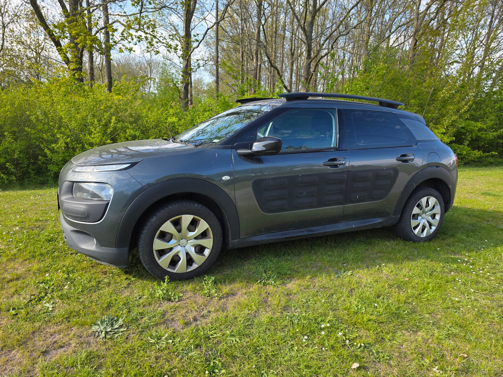 Citroen C4 Cactus – billede 2