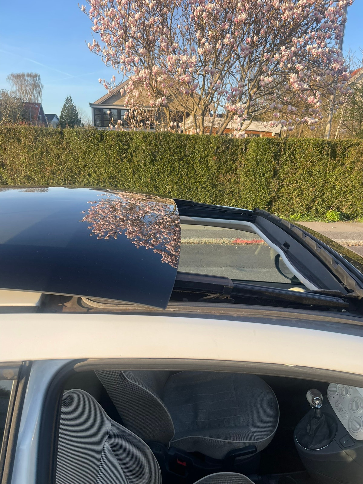 Fiat 500 – billede 6