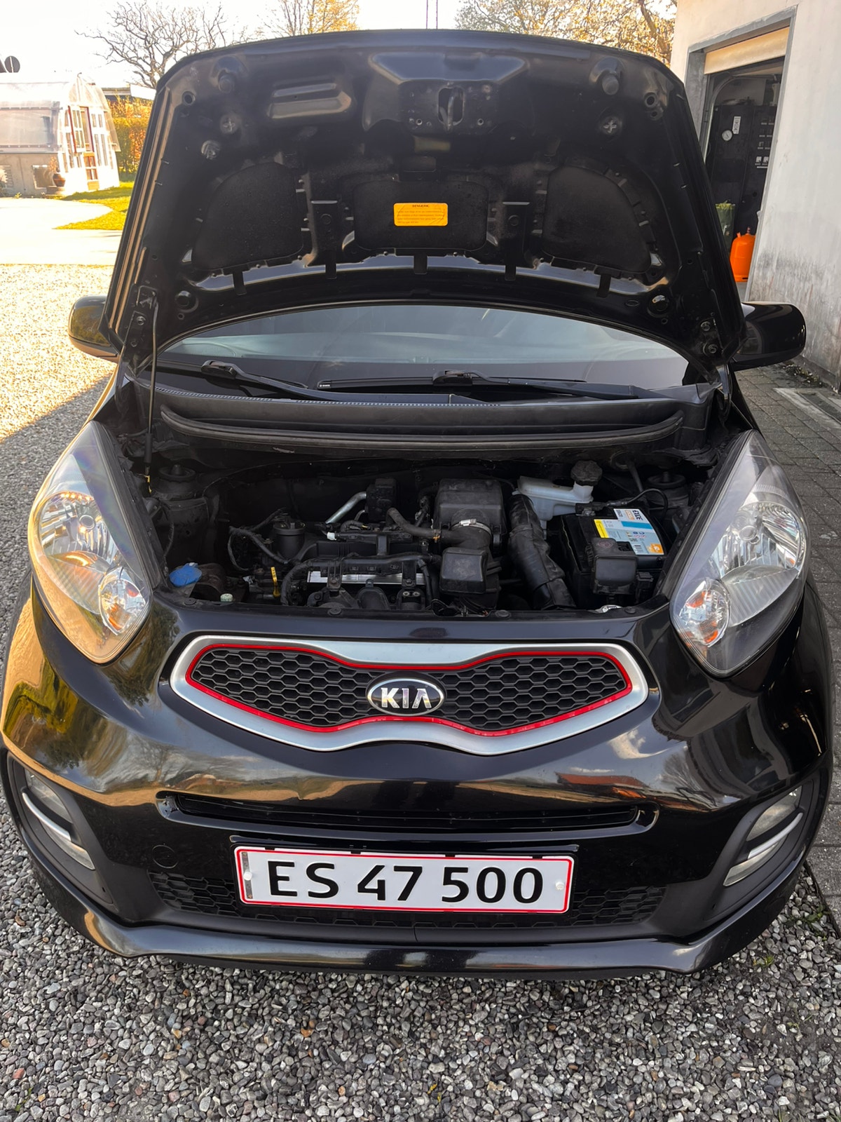 Kia Picanto til salg hos Nabilli