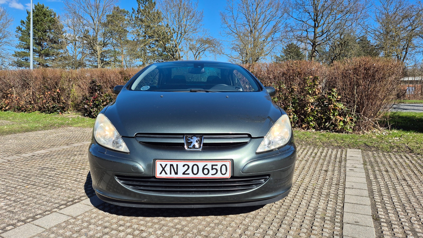Peugeot 307 – billede 3