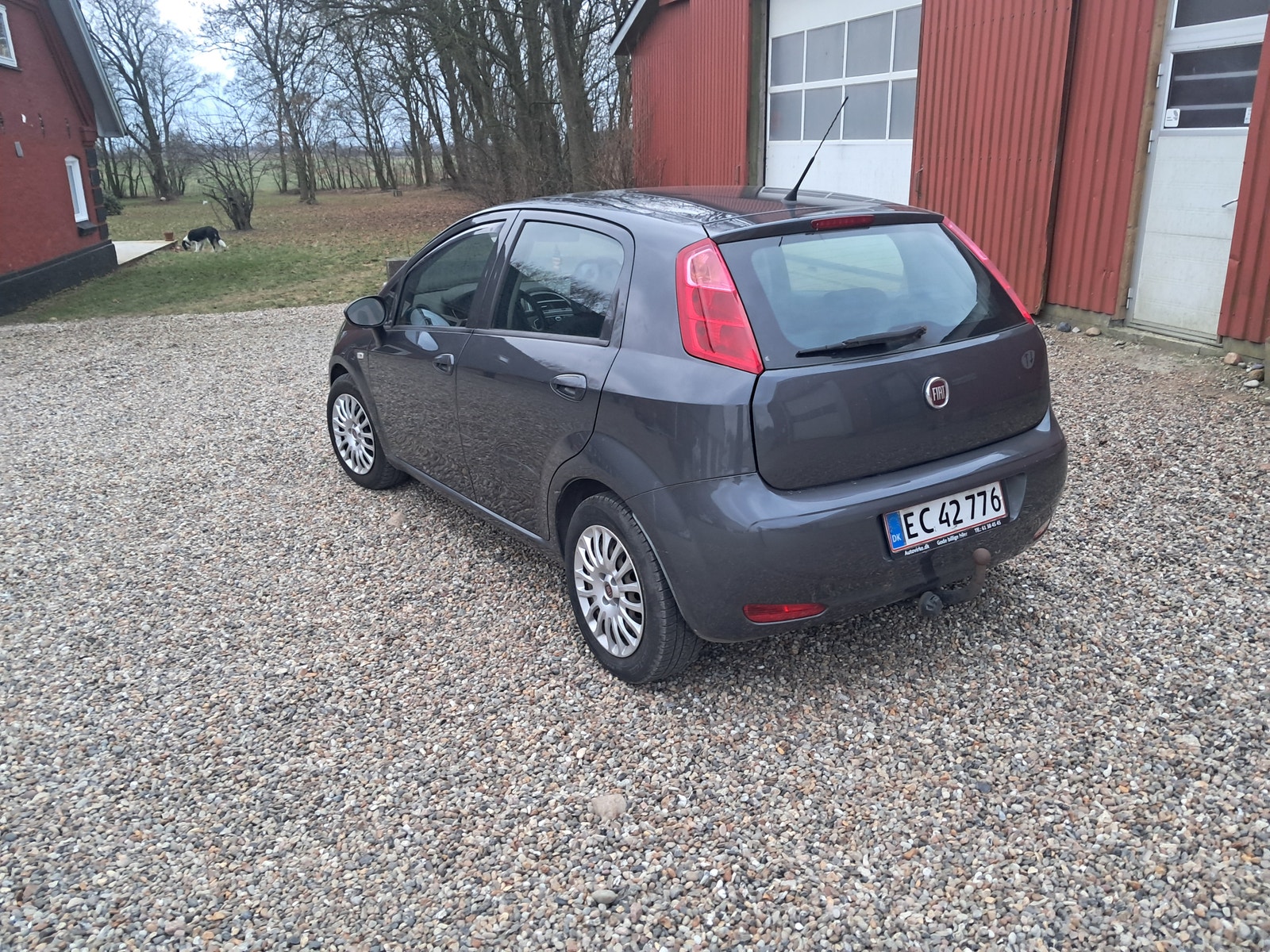 Fiat Punto til salg hos Nabilli